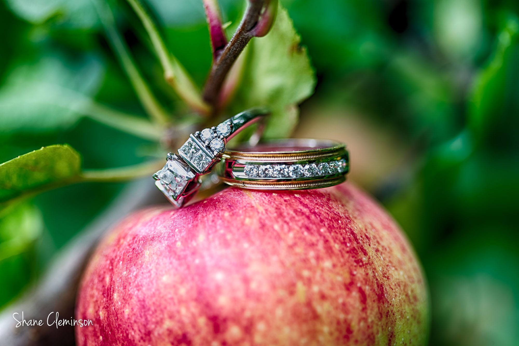 County Line Orchard Rings on apple by Shane Cleminson Photography