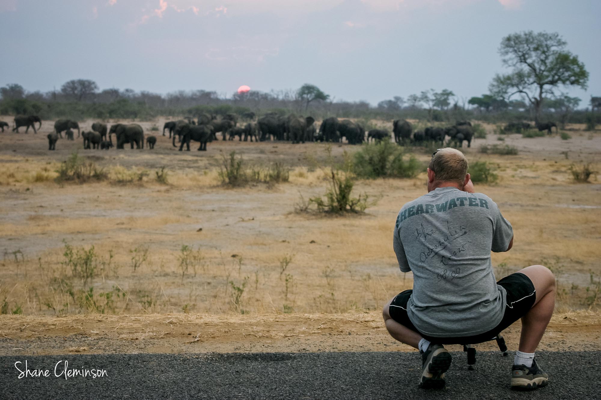Shane Cleminson Photographing Elephants in Zimbabwe Africa